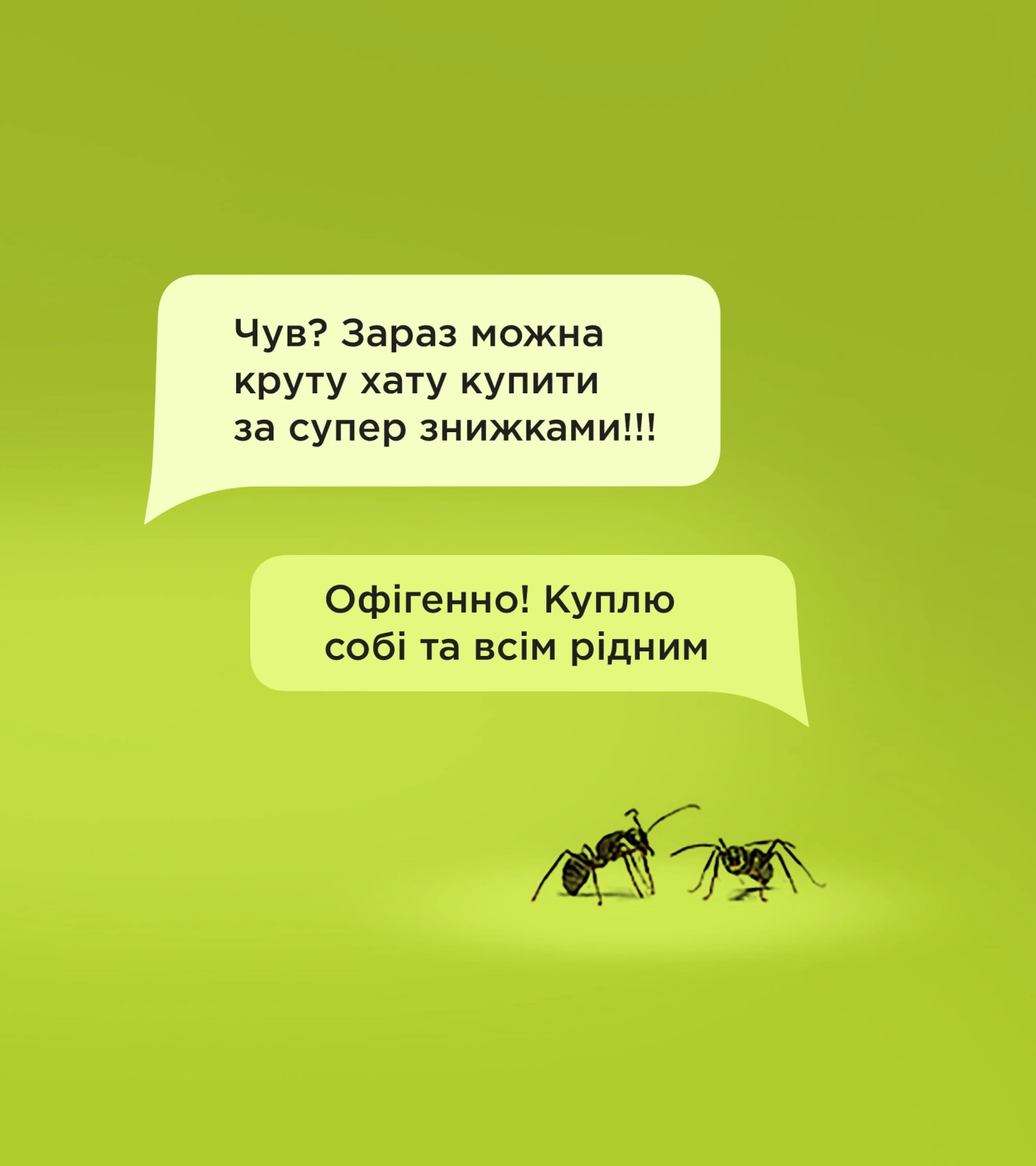 Купити мурашину ферму