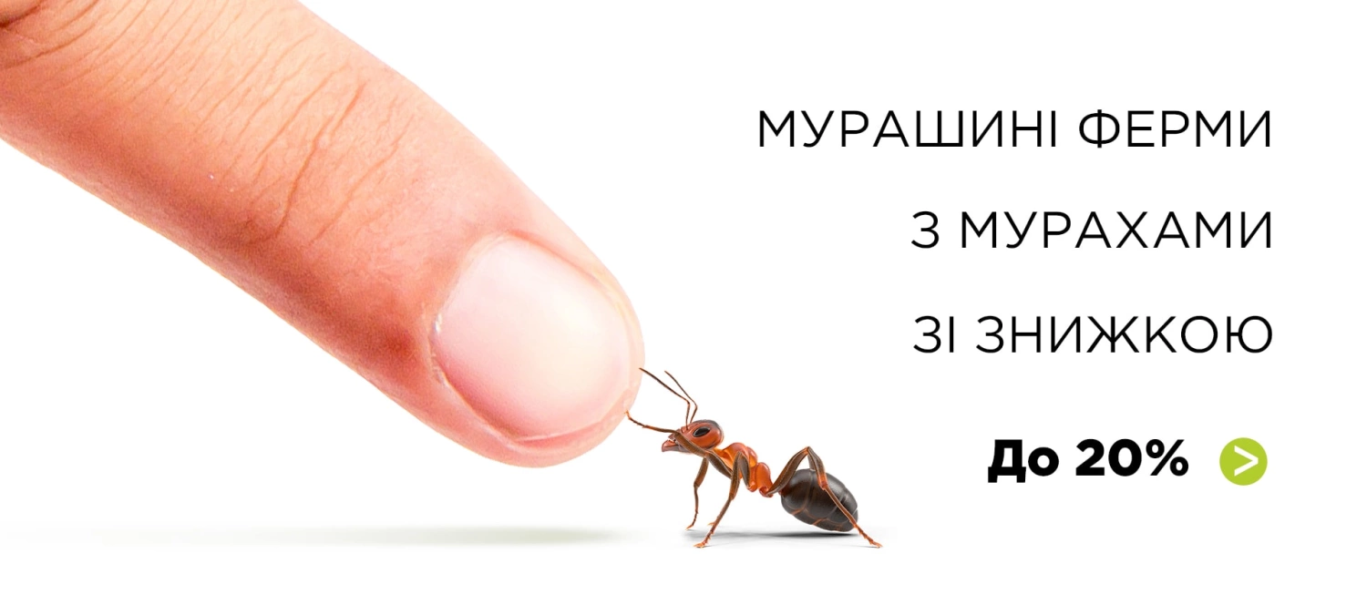 Мурашині ферми зі знижкою