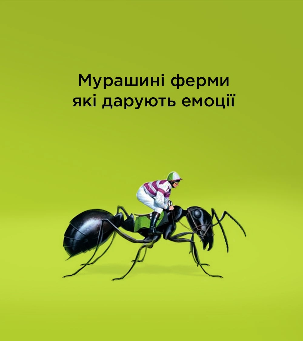 Мурашині ферми які дарують емоції
