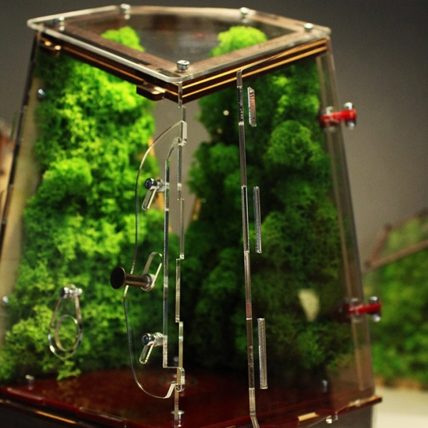 Вертикальна мурашина ферма “Flora Plus”