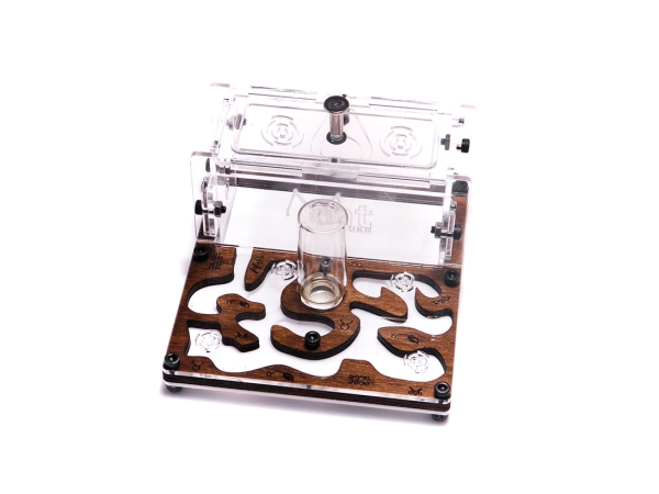 Мурашина ферма «Final Farm»