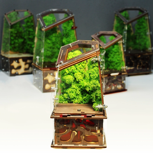 Вертикальна мурашина ферма “Flora”