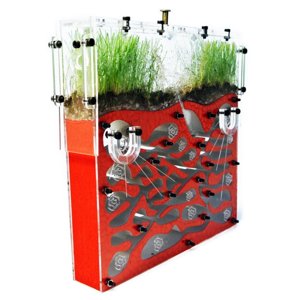 Вертикальна мурашина ферма «Pena Farm»