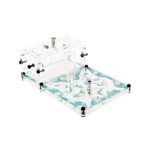 Ферма мурах “Butterfly Effect”