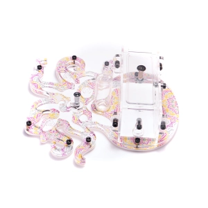 Мурашина ферма “Kraken Mini”